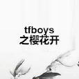 tfboys之櫻花開