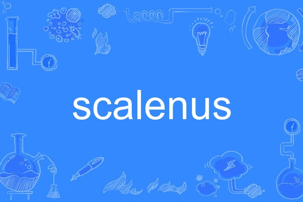 scalenus