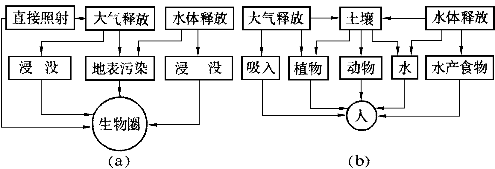 核電廠輻射影響