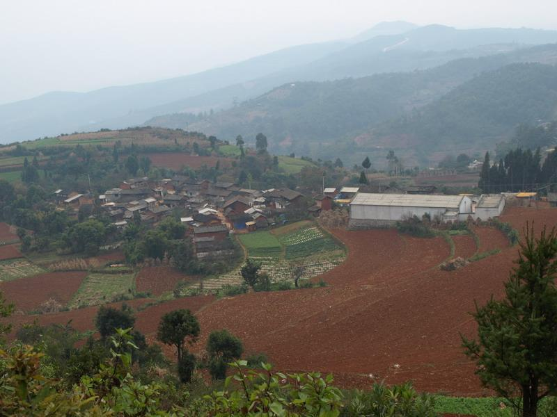 羅免村(雲南富民縣羅免鄉下轄村)