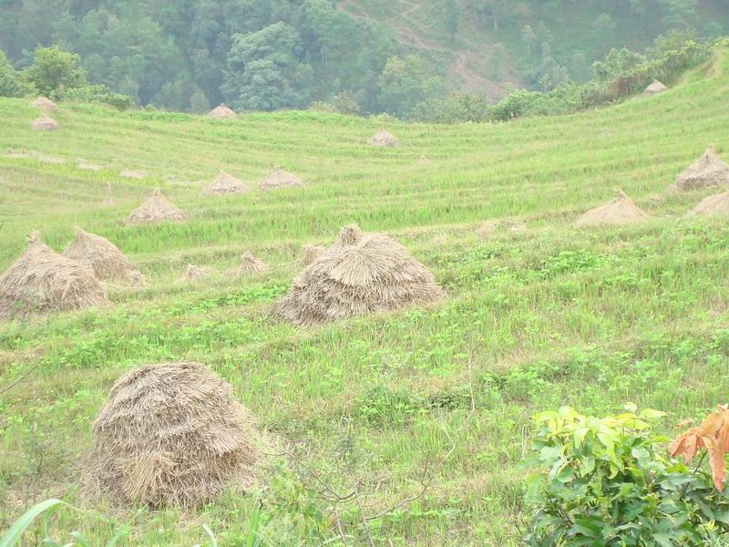 大溫卜自然村