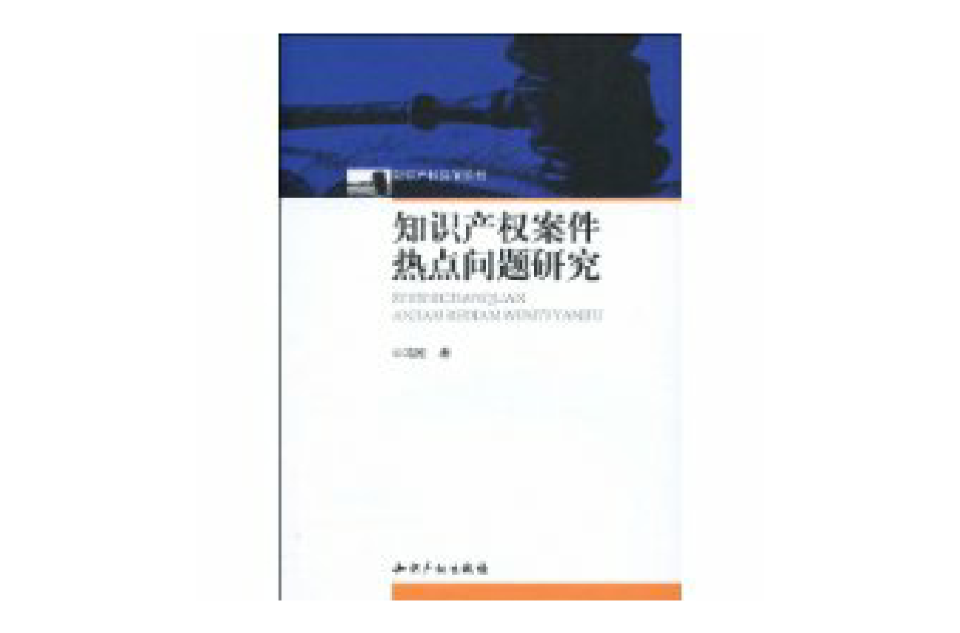 智慧財產權案件熱點問題研究