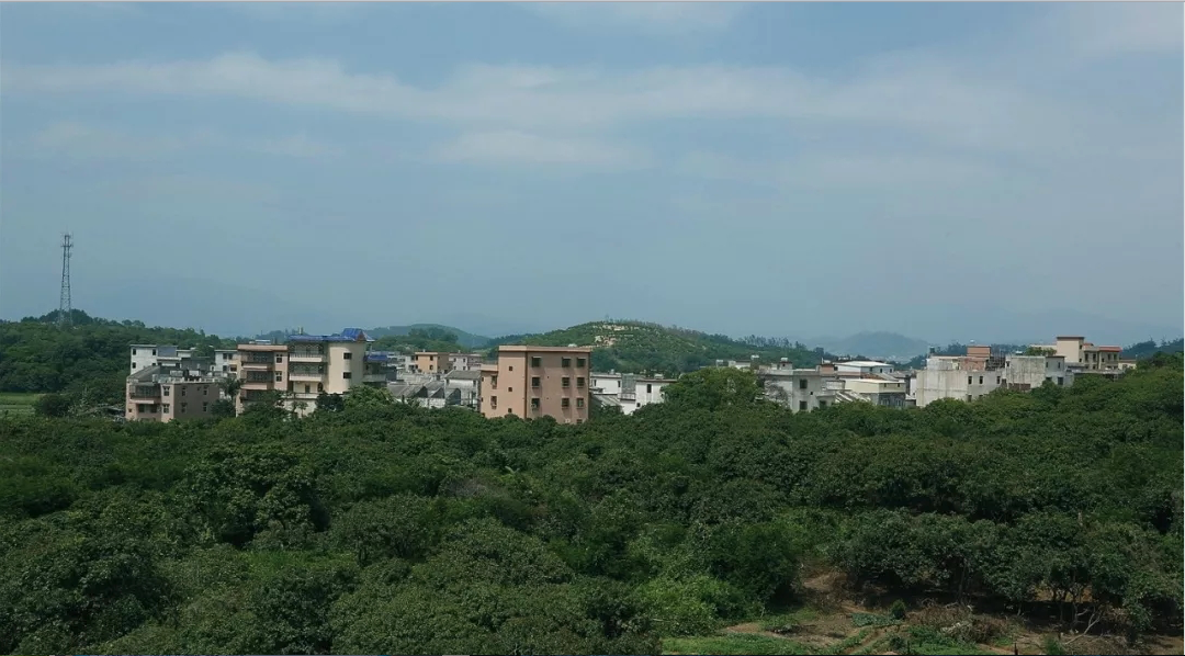 下坡村(廣東省揭陽市揭東縣玉湖鎮下坡村)