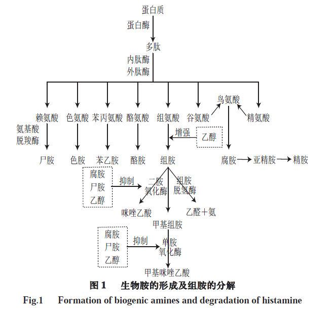 生物胺