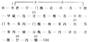 合成鮭降鈣素