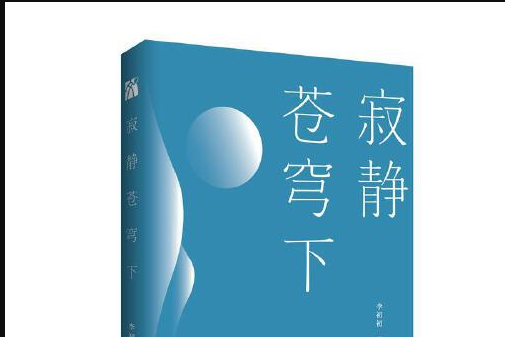 寂靜蒼穹下(2018年九州出版社出版的圖書)