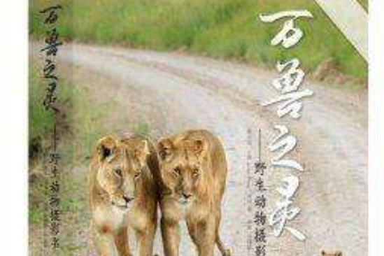 萬獸之靈：野生動物攝影書(萬獸之靈：野生動物攝影書（精裝版）)