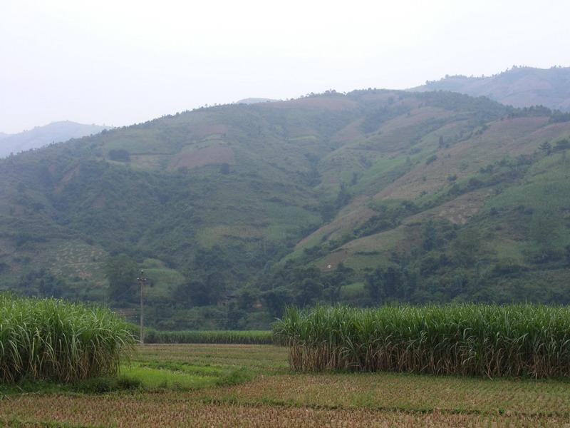 老對河村