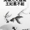 鳳唳九天腹黑王妃惹不起