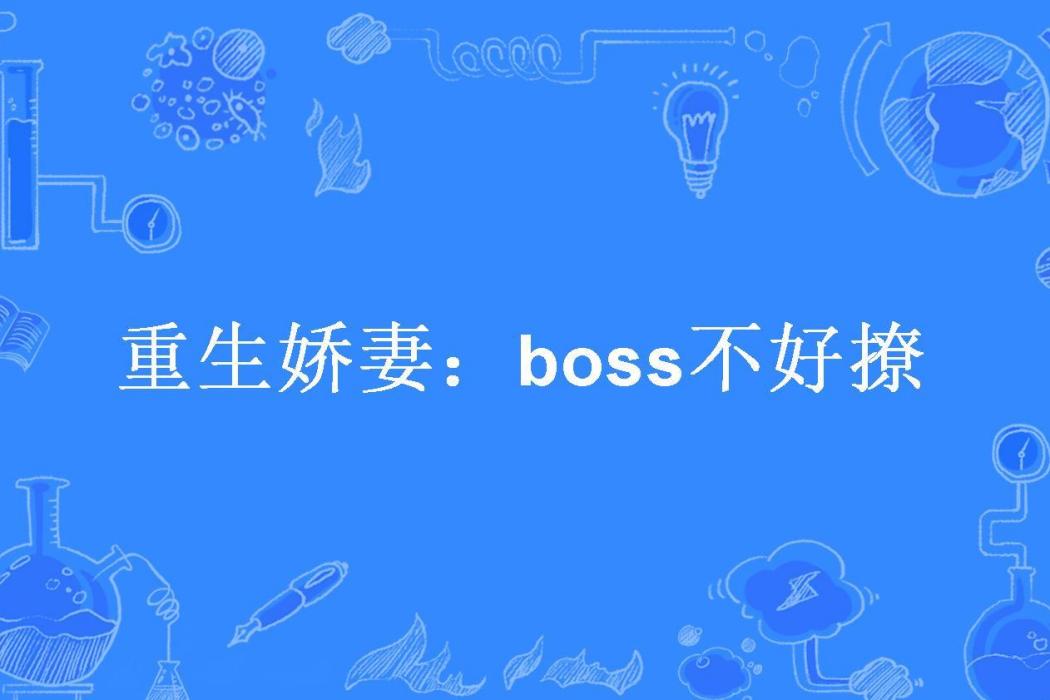 重生嬌妻：boss不好撩