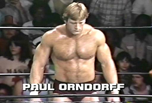 保羅·奧恩多夫(Paul Orndorff)