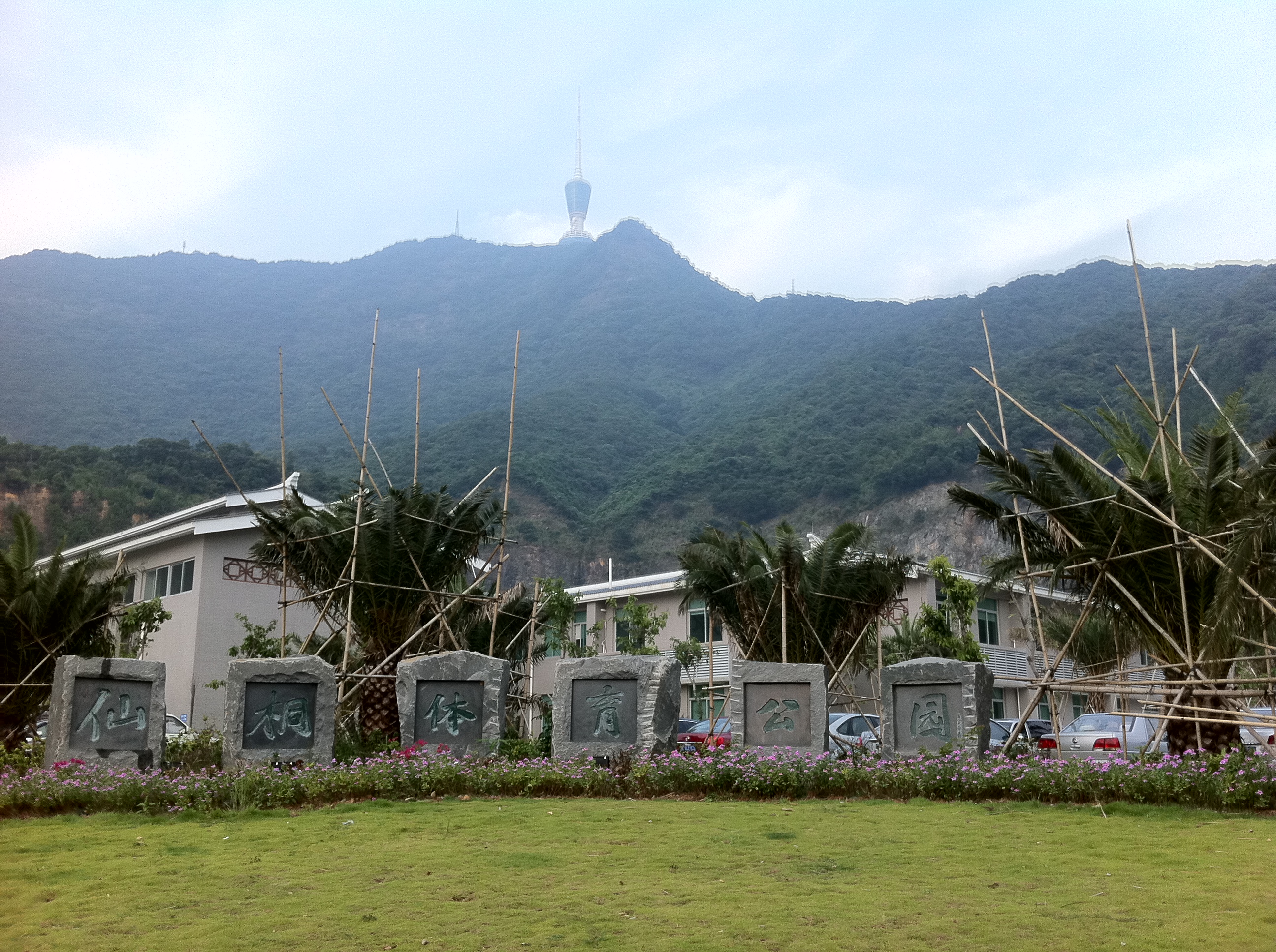 深圳市仙桐體育公園