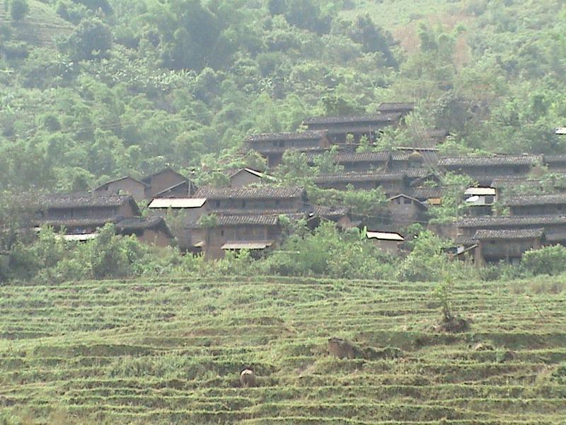 蠻勐新寨村