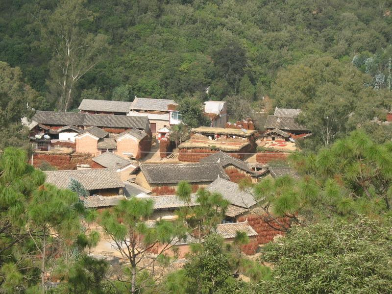 丫口寨村(雲南省文山州丘北縣樹皮鄉丫口寨村)