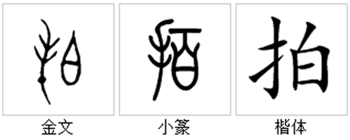 “拍”字的字源演變