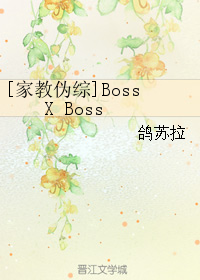 [家教偽綜]Boss X Boss