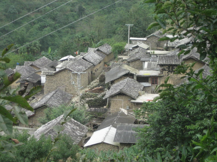 背陰寨村(新平縣平掌鄉平掌村民委員會下轄村)