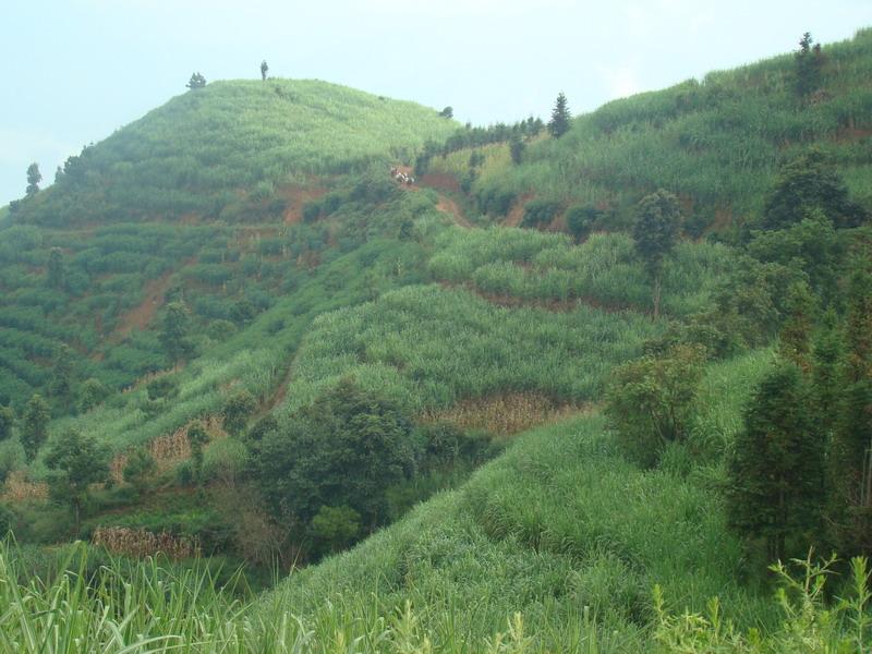 村中山地