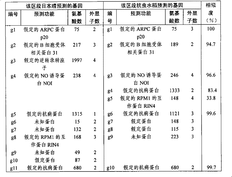 水稻抗褐飛虱基因及其套用