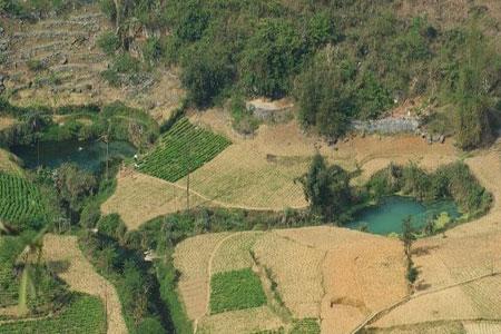 鳳山(廣西壯族自治區河池市鳳山縣)