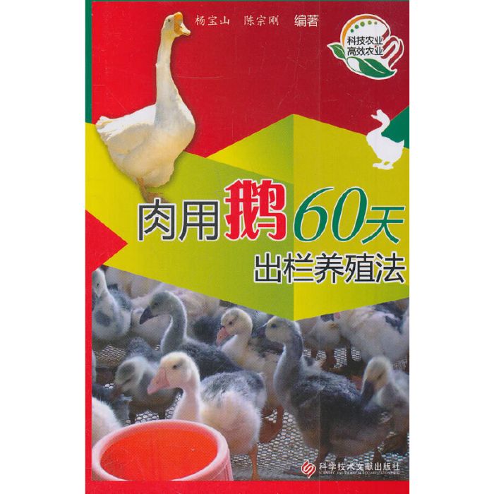 肉用鵝60天出欄養殖法