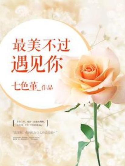 最美不過遇見你(七色堇所著小說)