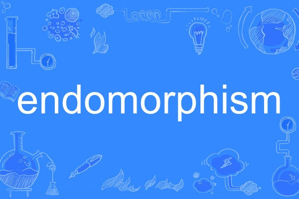 endomorphism