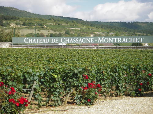 Chassagne-Montrachet