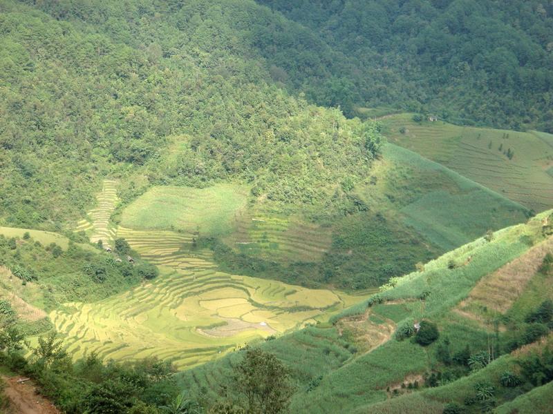 筍子窪村