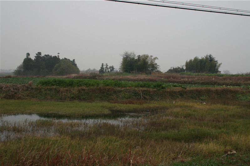 平塘頭土墩墓群