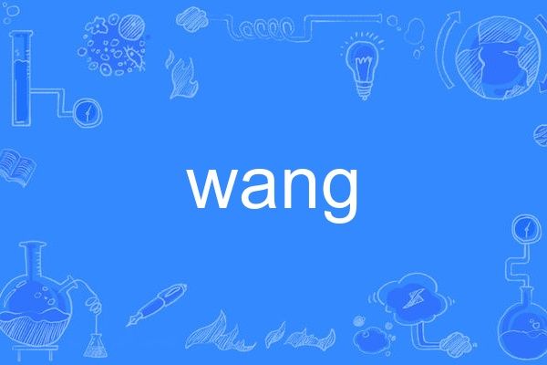 WANG(英文單詞)