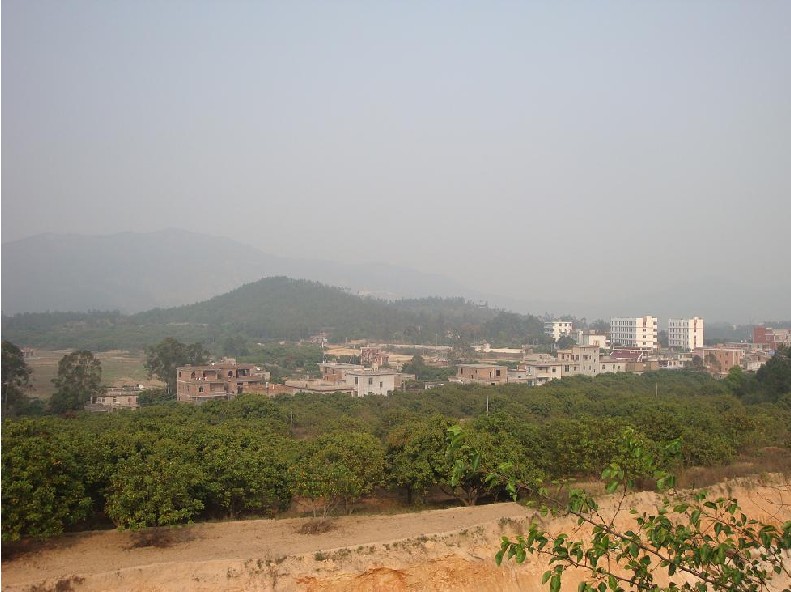 福林村(福建省泉州南安市洪瀨鎮下轄村)