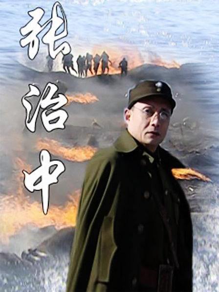 張治中(2005年沈好放執導電視劇)