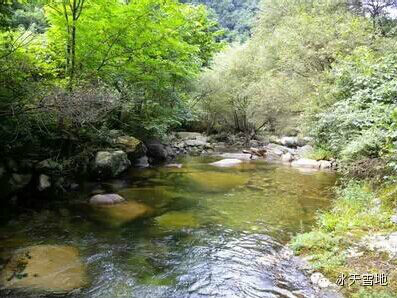 金陵寺鎮新農村