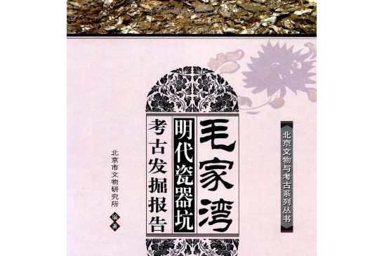 毛家灣(2007年科學出版社出版的圖書)