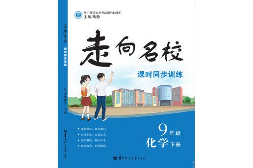 走向名校課時同步訓練 9年級化學下冊