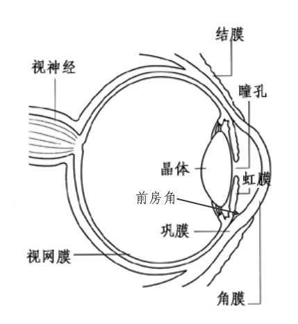 慢性青光眼