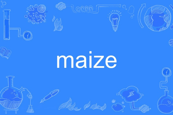 maize