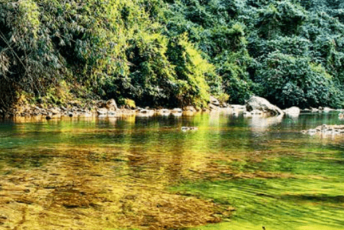 南滾河雨林