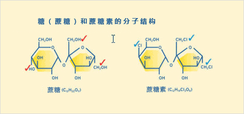 糖和蔗糖素的分子結構