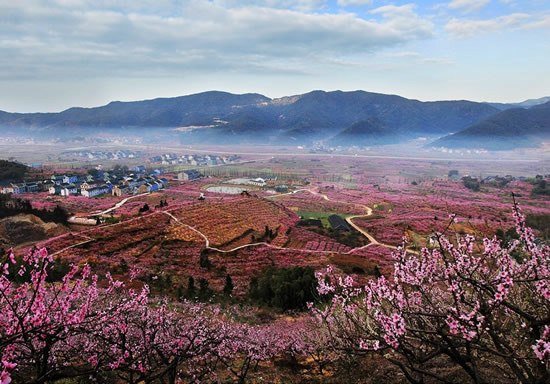 古窯浦村