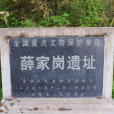 薛家崗遺址(薛家崗文化遺址)