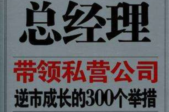 總經理帶領私營公司逆市成長的300個舉措