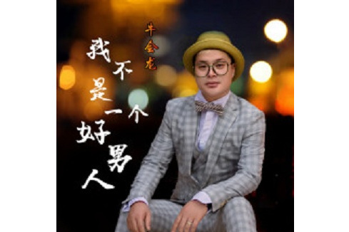 我不是一個好男人(牛會龍演唱歌曲)