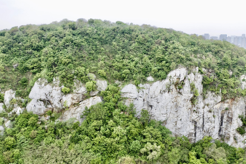 鎮江南山岩場