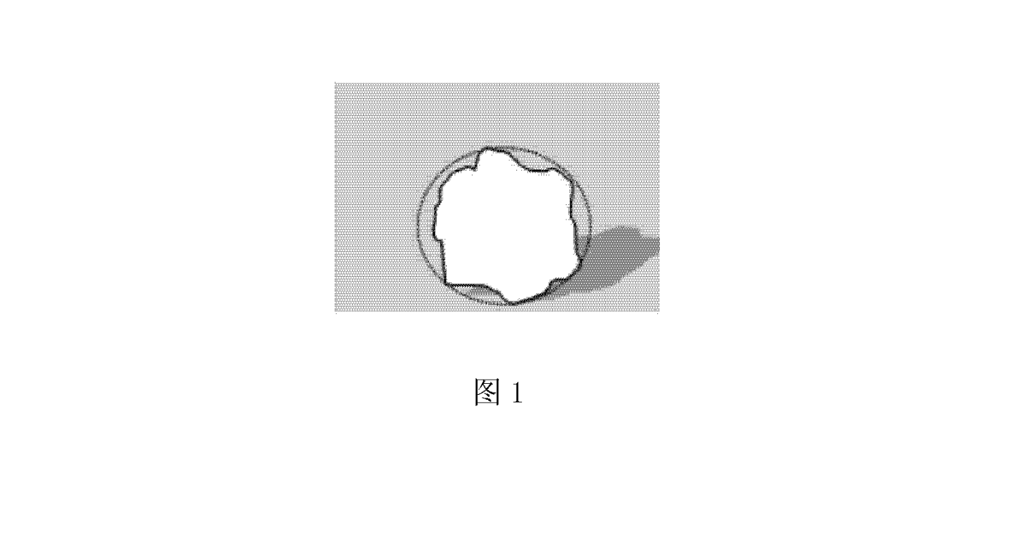 一種新型環保高含量速熔矽及其製備方法