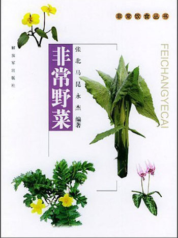 非常飲食叢書：非常野菜