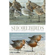 Shorebirds （平裝）