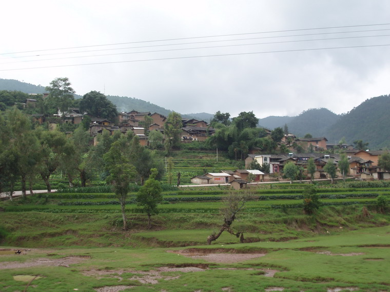 甸頭村(峨山縣甸中鎮甸頭村民委員會下轄村)