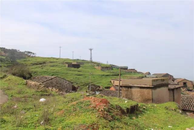 東星村(福建省福鼎市太姥山鎮下轄村)